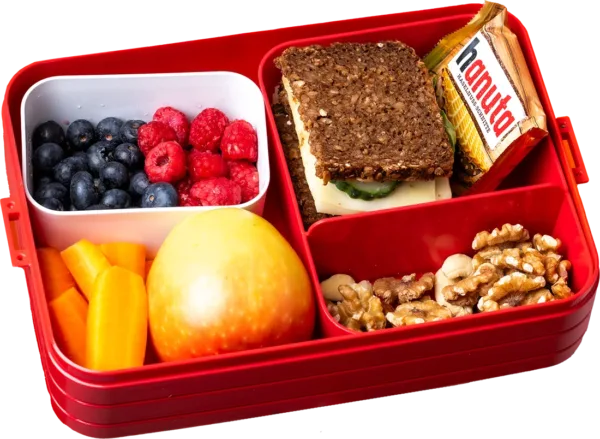 Teach-Them-Young-Smarte-Fruehstücksbox-Box